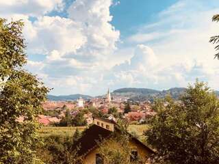 Фото Виллы Villa Rustic Transylvania г. Медиаш